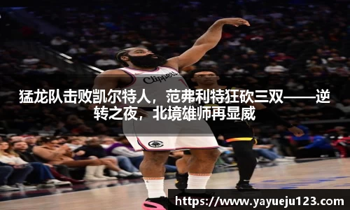 龙珠体育直播在线观看