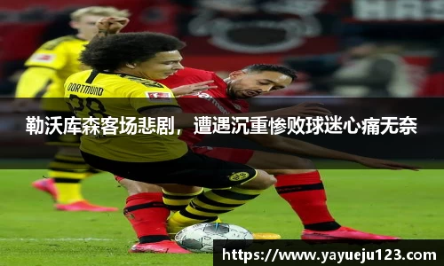 龙珠体育