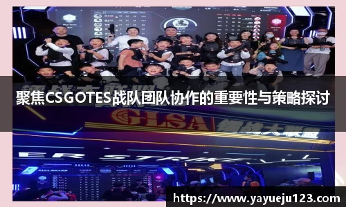 龙珠足球直播