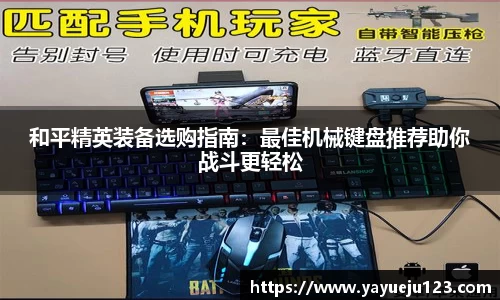 龙珠体育