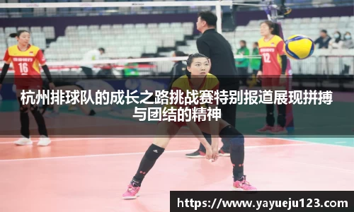 杭州排球队的成长之路挑战赛特别报道展现拼搏与团结的精神