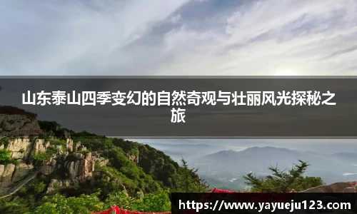 山东泰山四季变幻的自然奇观与壮丽风光探秘之旅