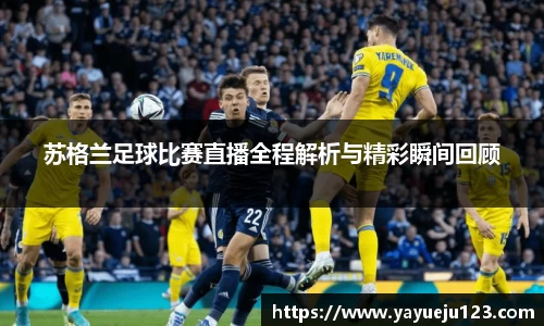 龙珠体育