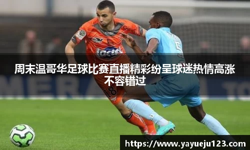 龙珠体育
