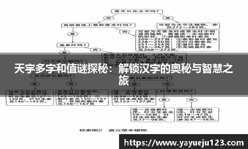 龙珠体育