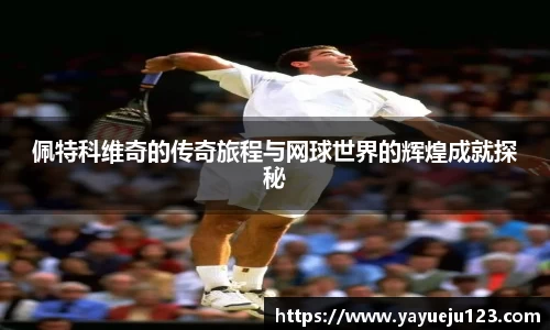 佩特科维奇的传奇旅程与网球世界的辉煌成就探秘