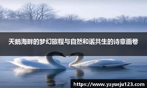 天鹅海畔的梦幻旅程与自然和谐共生的诗意画卷