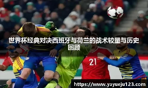 龙珠体育直播